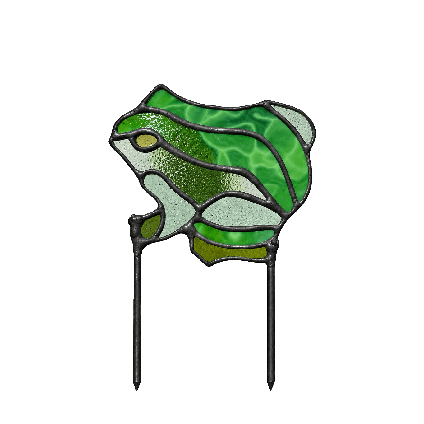Little Garden Frog
